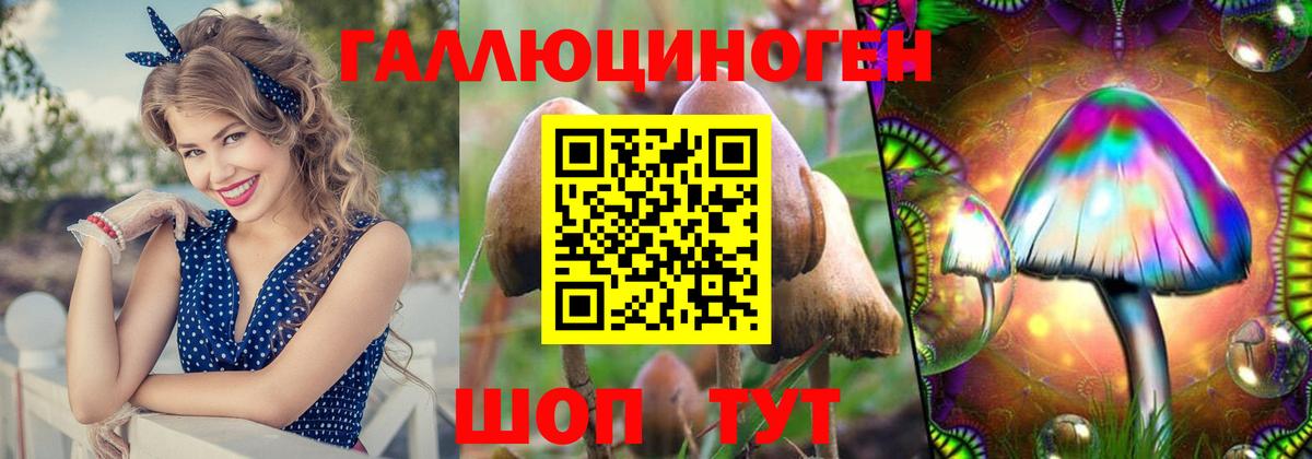 Галлюциногенные грибы прущие грибы  купить наркоту  Верхняя Салда  Псилоцибиновые грибы мухоморы  Вход с VPN 