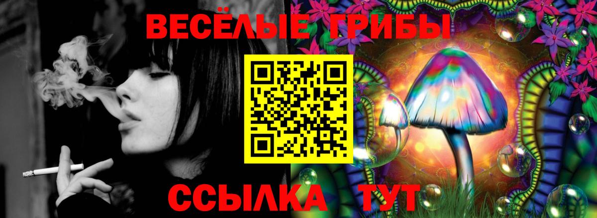 Псилоцибиновые грибы Psilocybine cubensis Верхняя Салда